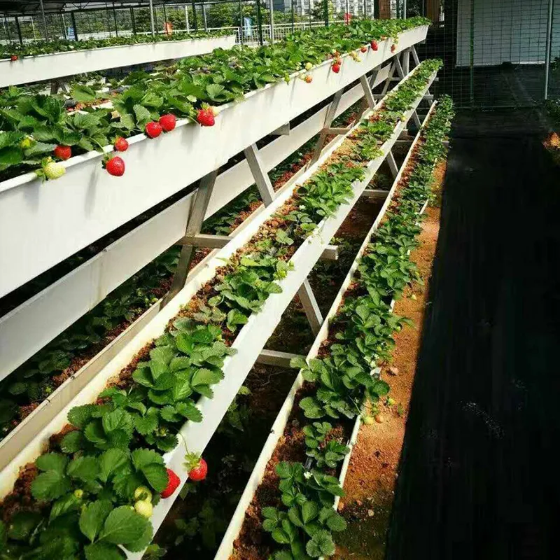 Popular Hydroponic Nft Channel Growing System PVC Gutter for Agricultural Greenhouse