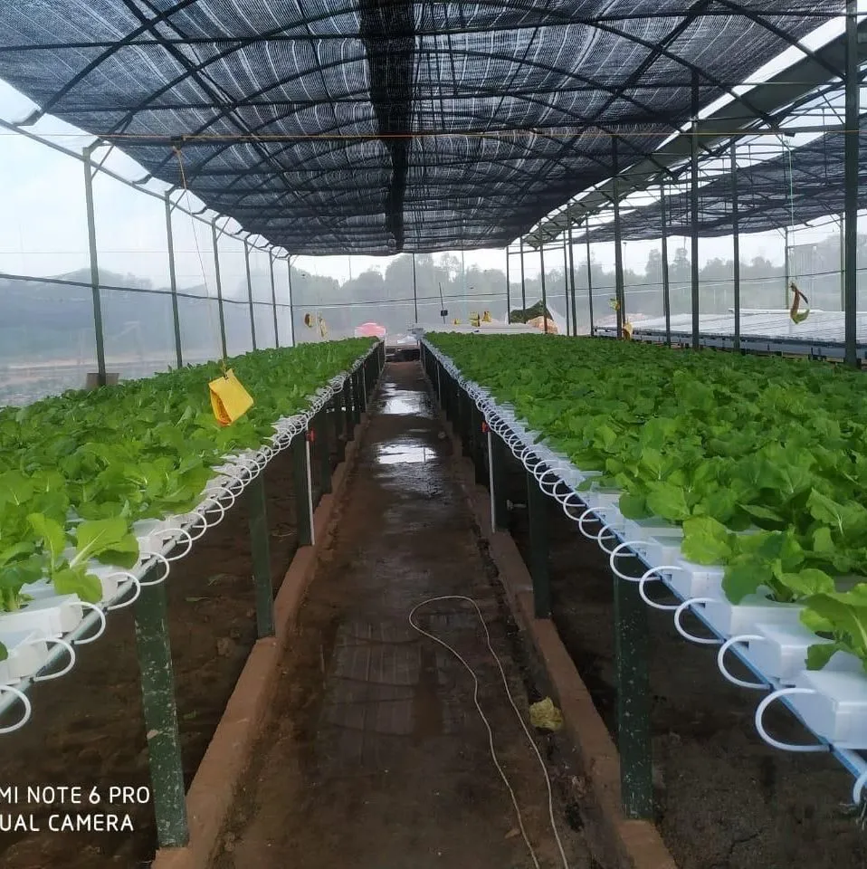 Vertical Hydroponics Greenhouse Systems Plastic Pipe for Hydroponic Nft PVC Channel Plant