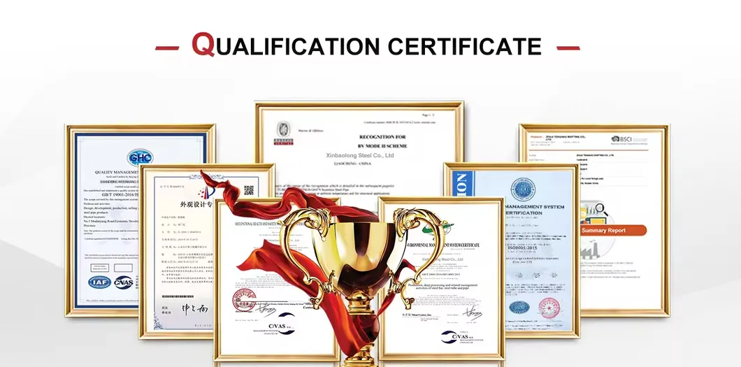 Galvanized Steel Pipe for Natural Gas Line Poultry Feeding System Greenhouse Farm Fence-Cutting/Bending Services Saso Certified