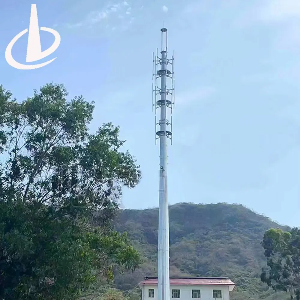 Crane Machine ISO Approved Xinyuan 12032*2352*2352 Customized Durable Wireless Communication Monopol