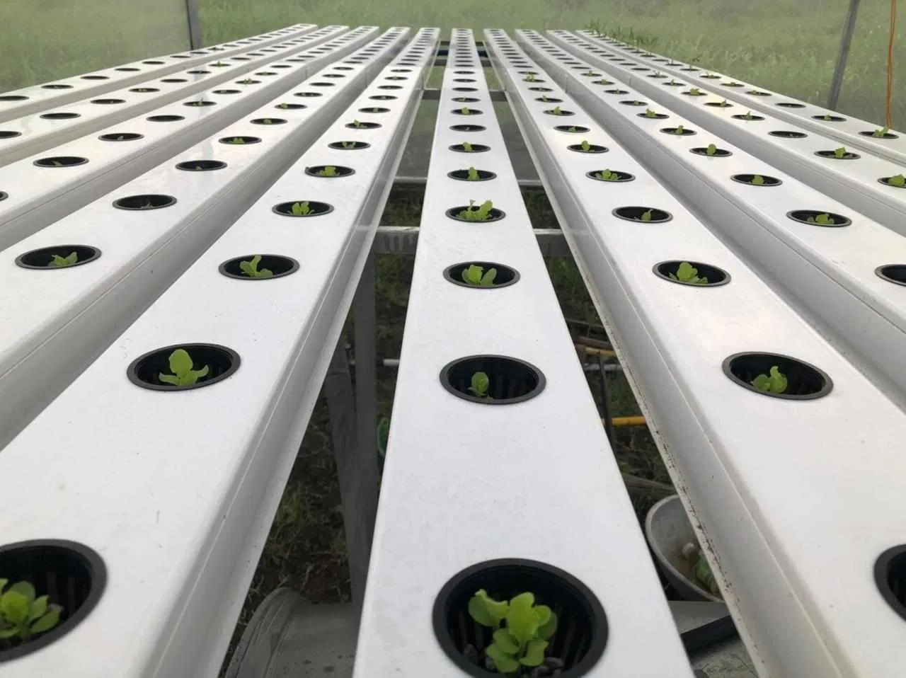 Plastic Pipe for Hydroponic Nft Growing Greenhouse System Hydroponic Grow Systems