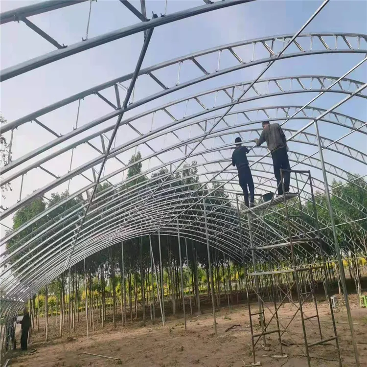 C-Shaped Steel Greenhouse for Growing Vegetables