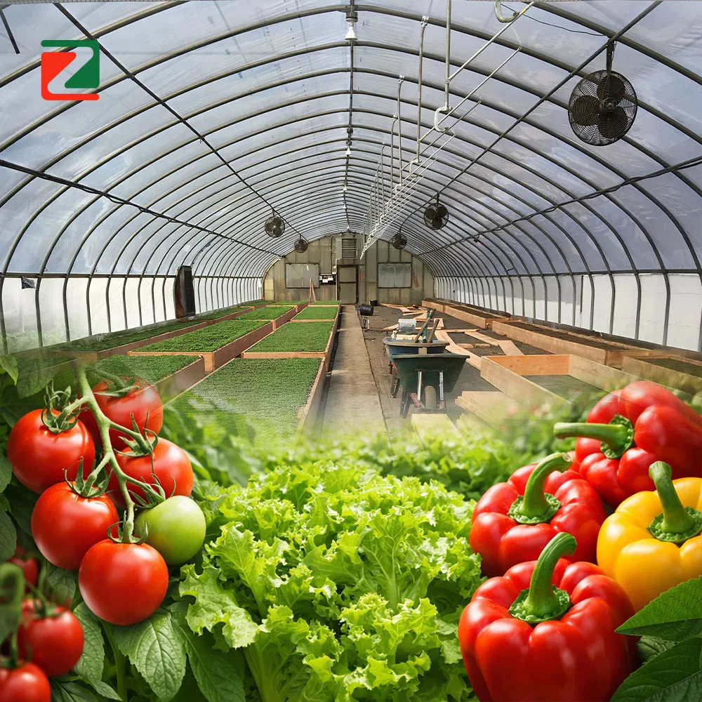 Durable Tunnel Greenhouse Film for Enhanced Plant Growth