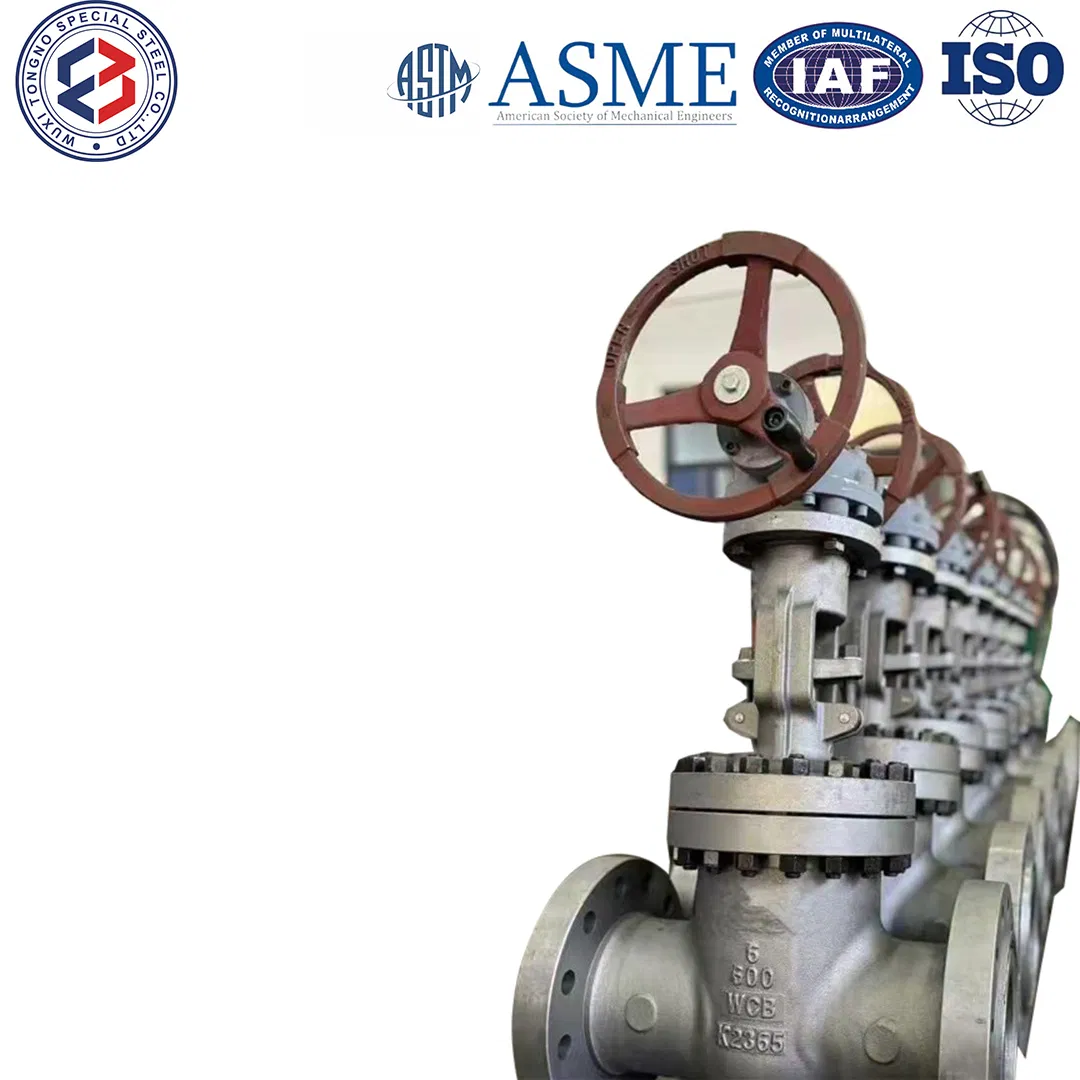 Wc6,Wc9,CF8,CF8m,CF3,CF3m,TP304,Tp306L,Tp316,Tp310s,2507,2205 Premium Stainless Steel Pipe Fitting V