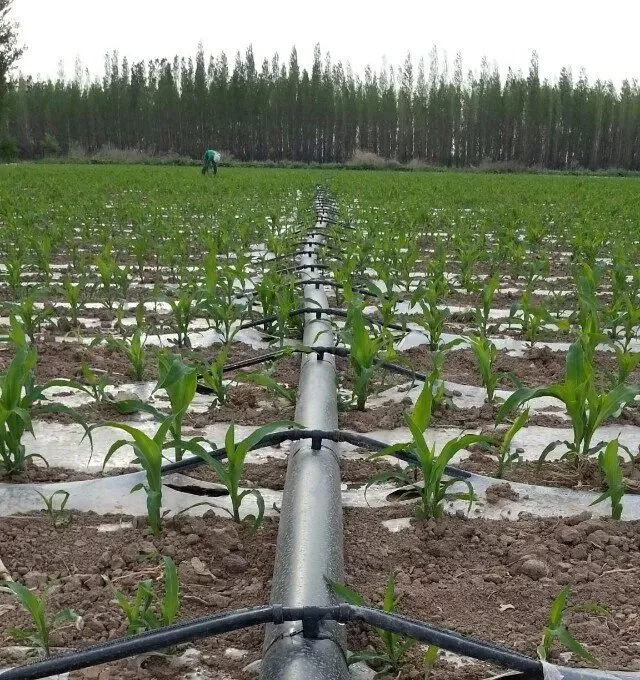Agriculture PVC Irrigaiton Water Sprayer Sprinkler Systems for Greenhouse