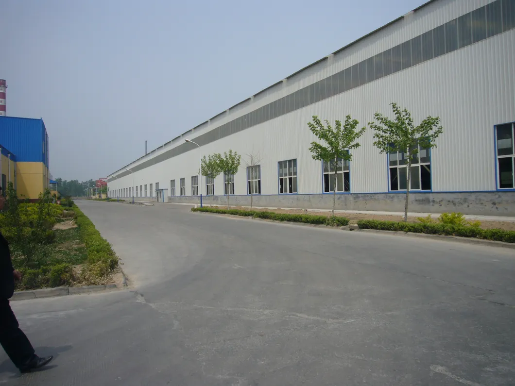 Stainless Steel Electrical Fitting Clamp Elbow Pipe