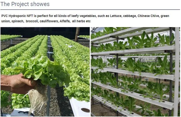 Agricultural Greenhouses System Vegetable Growing Tube 100X50mm PVC Pipe Hydroponic