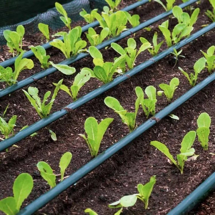 Drip Irrigation Tape Tube Watering & Irrigation Drip Tape Manufacturer From China