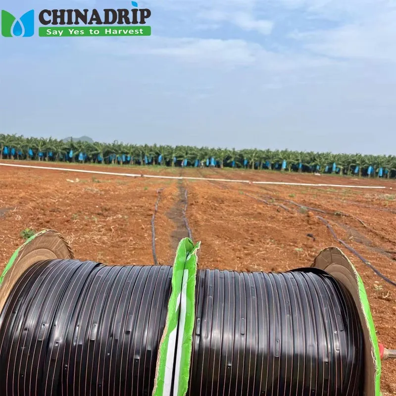 Agriculture 1 Hectare Plastic PE Hose Manufacture Garden Water Tube Drip Irrigation System16mm 22mm 