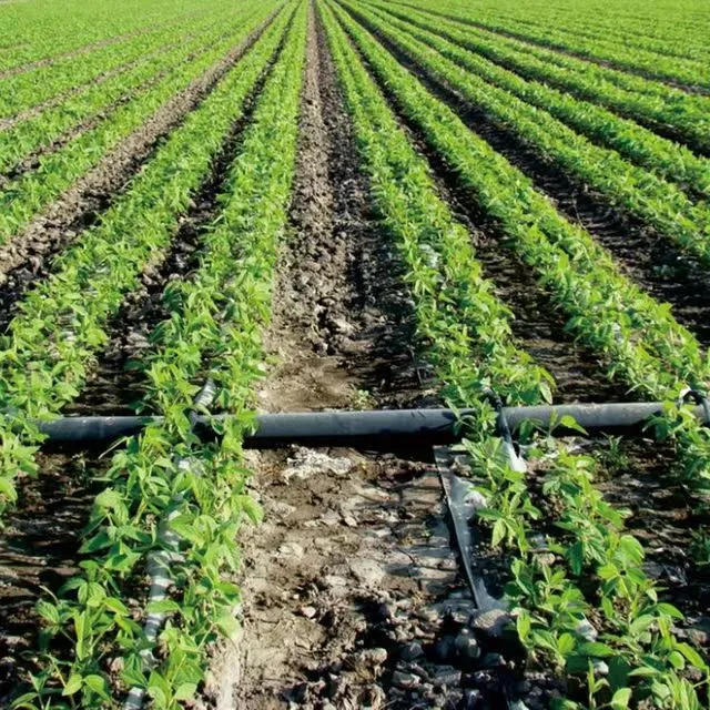 Farm&Garden 16mm Drip Tape Flat Water Saving PE Irrigation Tape