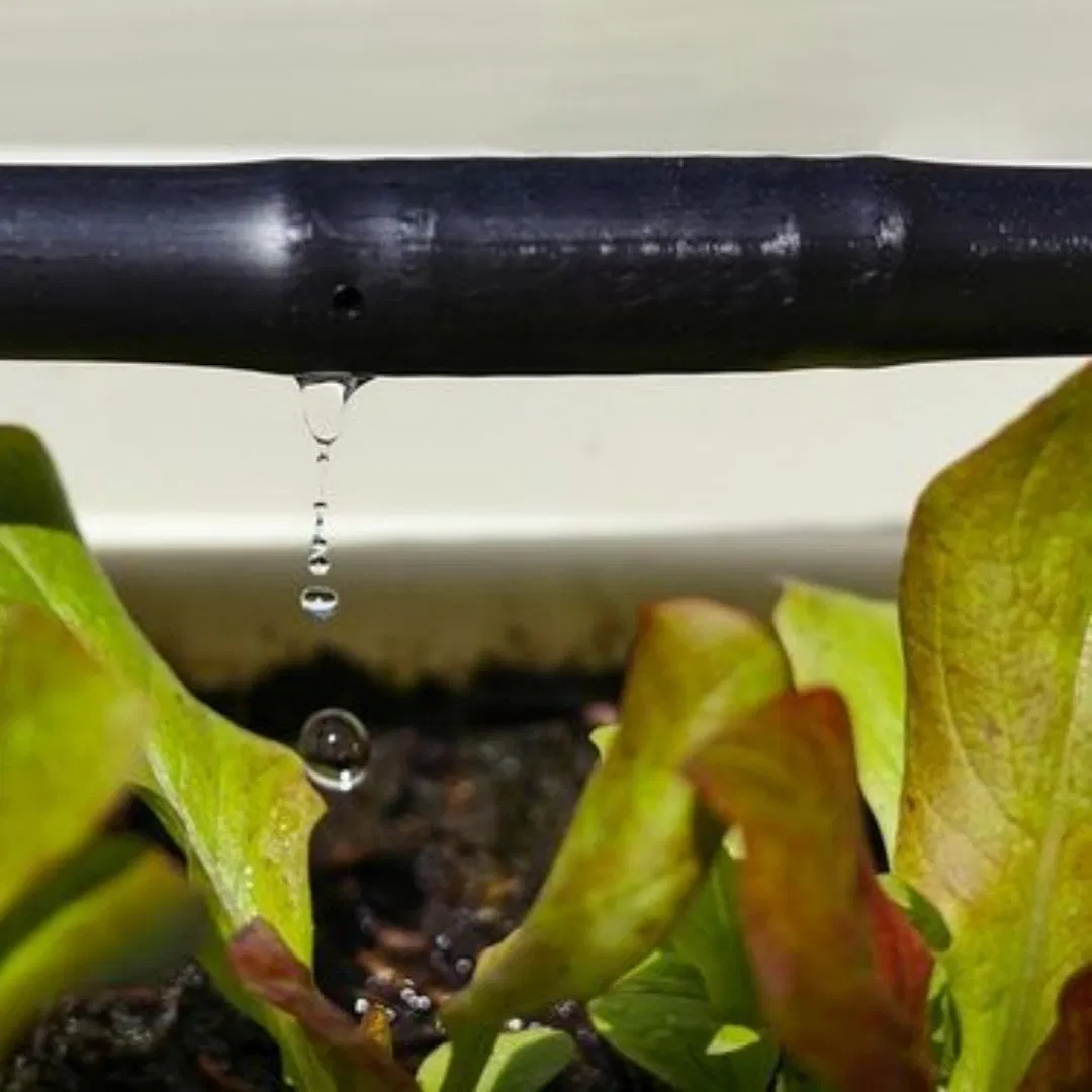 Durable Drip Irrigation Hose and Water Pipe Tape for Vegetables