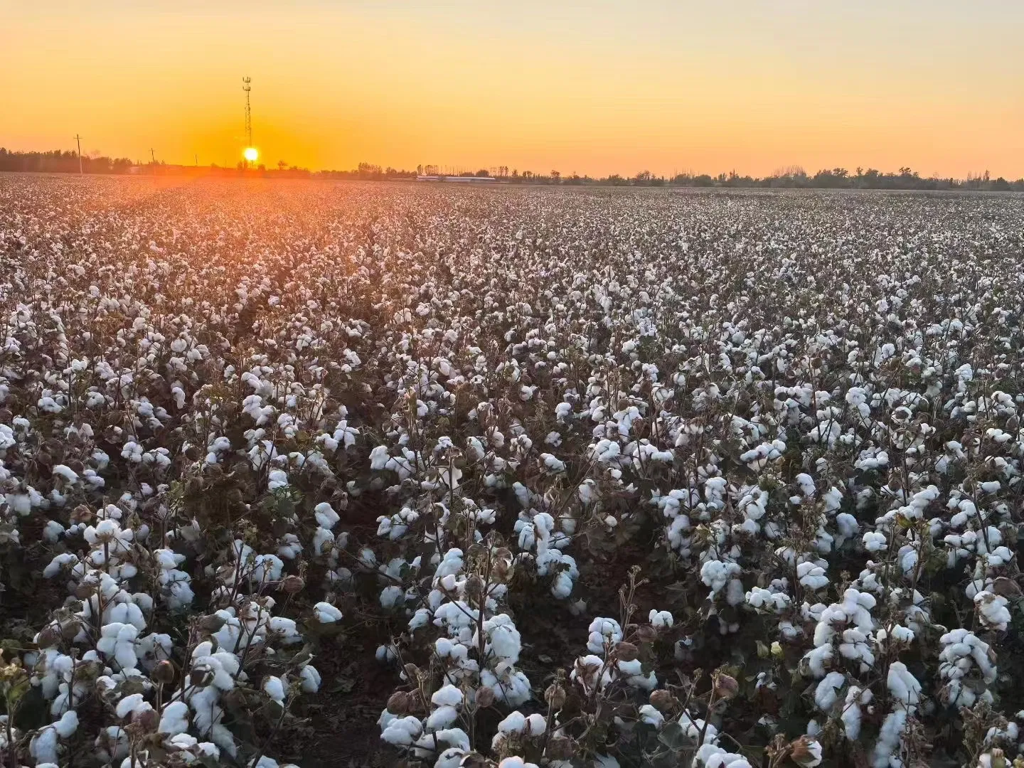 Agriculture 1 Hectare Plastic PE Hose Manufacture Garden Water Tube Drip Irrigation System16mm 22mm Drip Tape for Farm Cotton