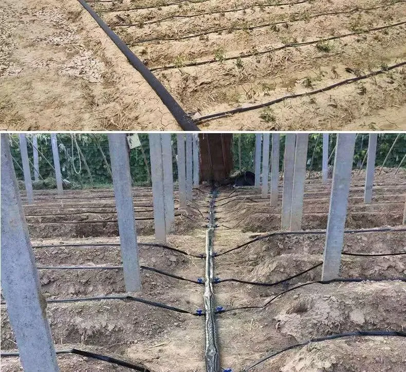 Hot Popular Agricultural Greenhouse HDPE Water Pipe for Commercial Farming Inline Drip Irrigation Tape