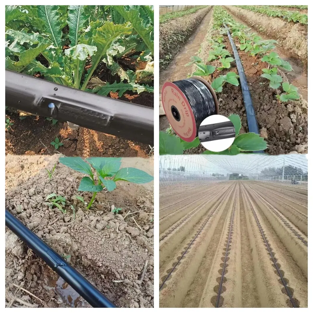 Drip Irrigation Tape Tube Watering &amp; Irrigation Drip Tape Manufacturer From China