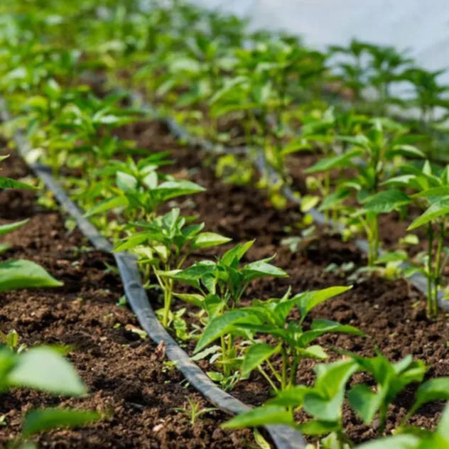 Customizable Precise Dripping Single/Double Hole Subsurface Drip Irrigation Tape for Ornamental Plants