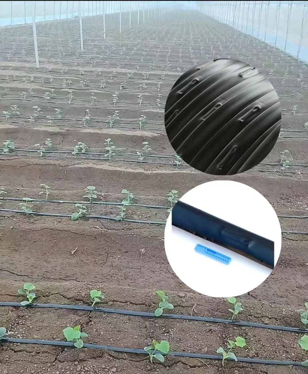 Premium 16mm Drip Tape for Superior Irrigation Solutions