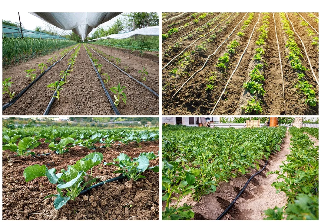 UV Resistant Anti-Clogging Drip Irrigation Tape for Agriculture