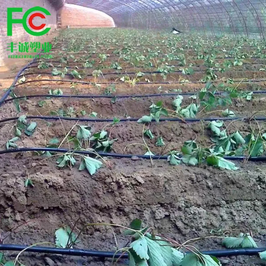 Hot Sale Design 1 Hectare Design Agricultural Farm Irrigation Drip Tape Dripper