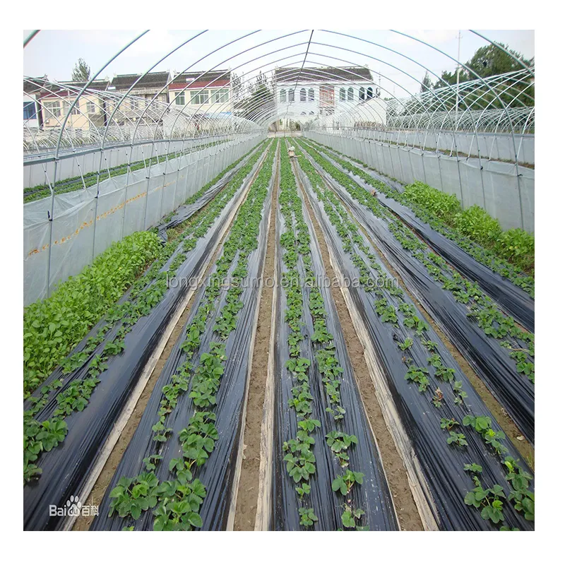 Irrigation Drip Irrigation Pipe Tape 16mm Diameter with Flat Emmiter