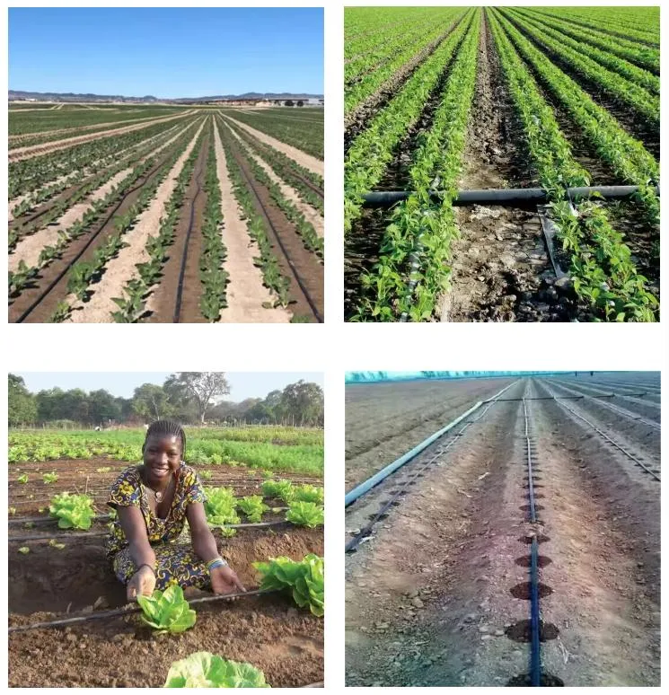 China Manufacturer 16mm Continuous Strip Drip Tape Irrigation for Garden Agriculture