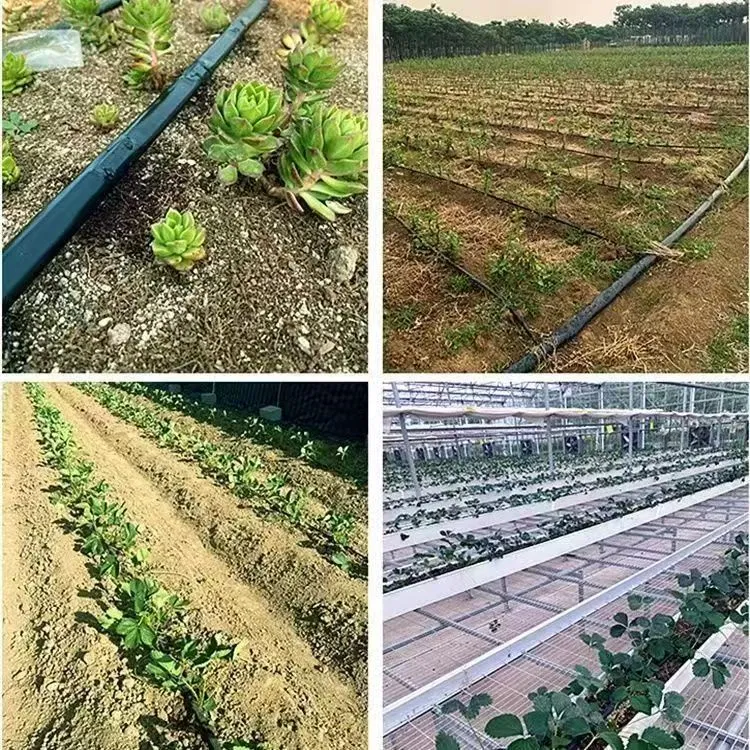Hot Agricultural Greenhouse HDPE Water Pipe for Commercial Farming Inline Drip Irrigation Tape