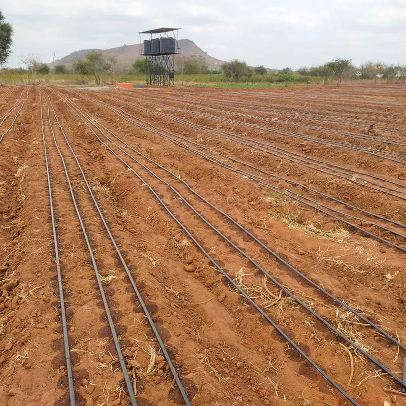 PE Plastic 16mm Drip Tape Flat Dripper Irrigation for Farm&Garden Water Saving