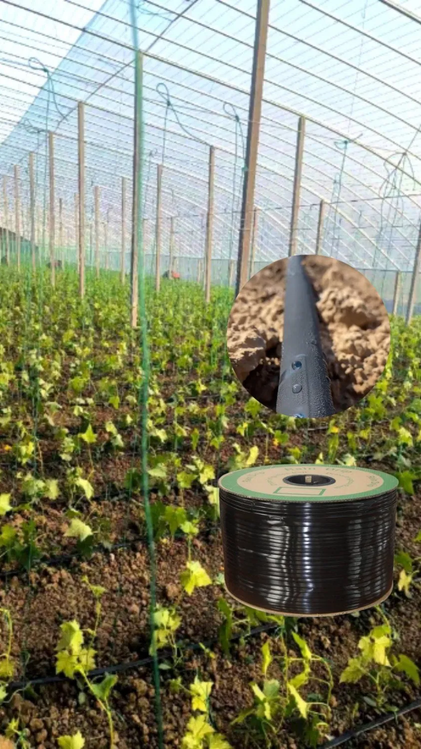 Water-Saving Labyrinth Drip Tape for Efficient Agricultural Irrigation