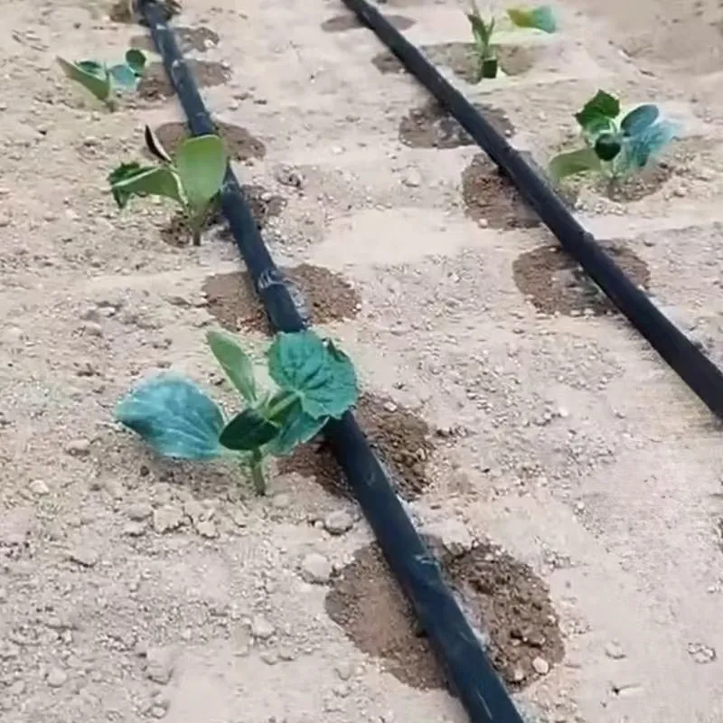 Hot Popular Agricultural Greenhouse HDPE Water Pipe for Commercial Farming Inline Drip Irrigation Tape