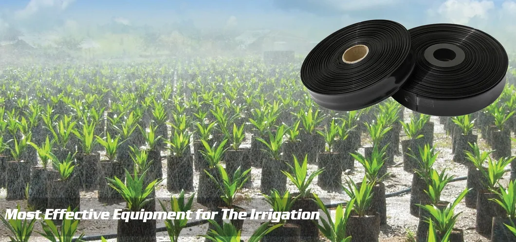 Spray Watering System Micro Spray Tape Rain Tape for Farm Drip Irrigation System