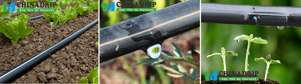 Irrigation System Self Compensated Drip Pipe Pressure Compensation Drip Tape with Anti Siphon Under Ground Irrigaiton System